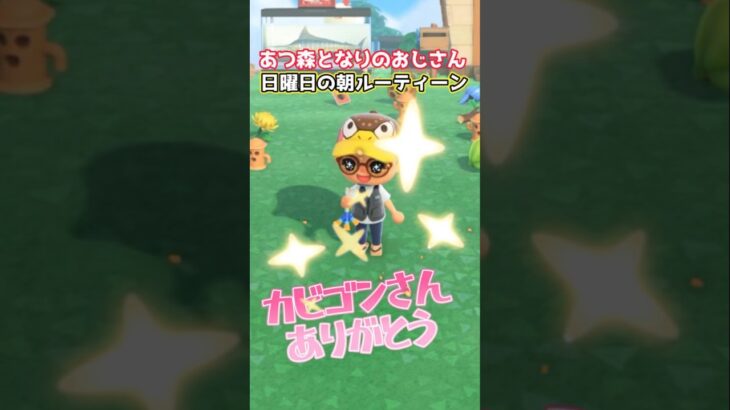 あつ森となりのおじさん日曜日の朝のルーティン#あつ森