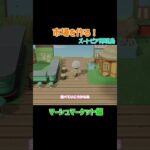 【あつ森】市場を作る！