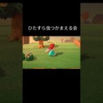 ひたすら虫つかまえる会です🤗 #あつ森 #どうぶつの森 #あつまれどうぶつの森 #ゲーム配信
