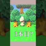 【あつ森】あつ森実況者が初めて知ったこと