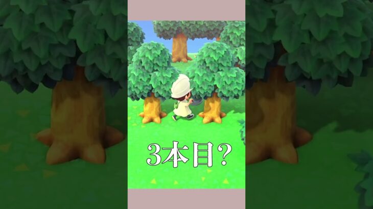 【あつ森】あつ森実況者が初めて知ったこと