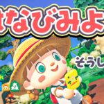夏の花火を一緒に見に行く【あつ森】
