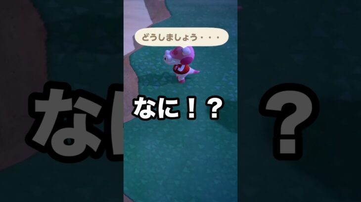 【あつ森】遂に来た！？あの住民からモヤが出てました
