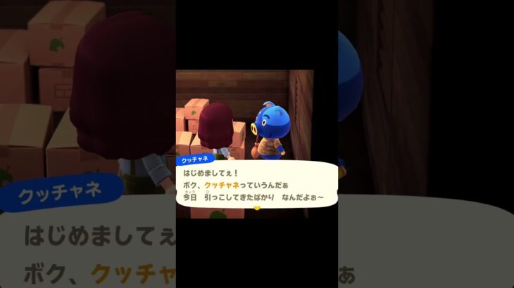 【あつ森】新しい住民クッチャネがやってきた！初めましてのごあいさつ🌸