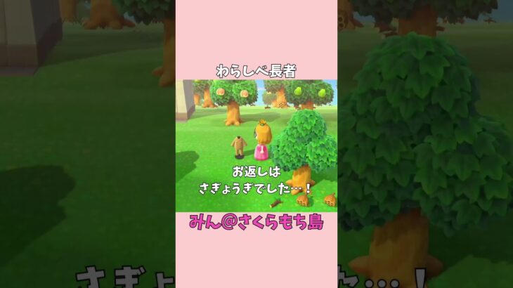 【あつ森】念願の企画✨わらしべ長者やってみた！