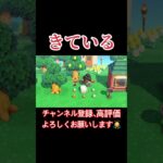 きている〜！！！#あつまれどうぶつの森 #あつ森 #どうぶつの森 #実況プレイ #ゲーム実況