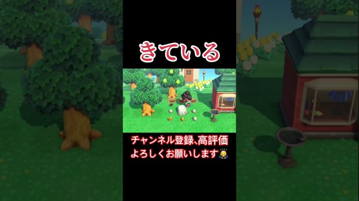 きている〜！！！#あつまれどうぶつの森 #あつ森 #どうぶつの森 #実況プレイ #ゲーム実況