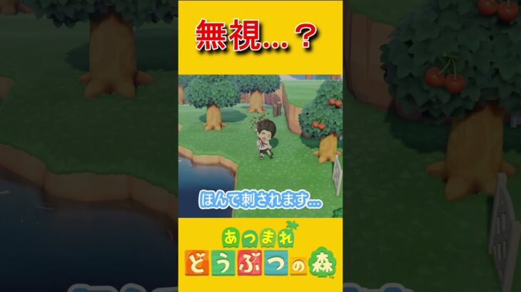 蜂討伐部隊は可愛さに弱い！【あつ森】 #あつ森 #あつまれどうぶつの森 #ゲーム実況