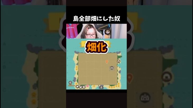 島全部「畑」にしてみた【あつ森】
