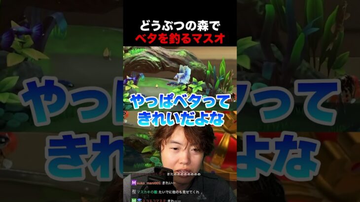 あつ森で“ベタ”を釣るマスオ
