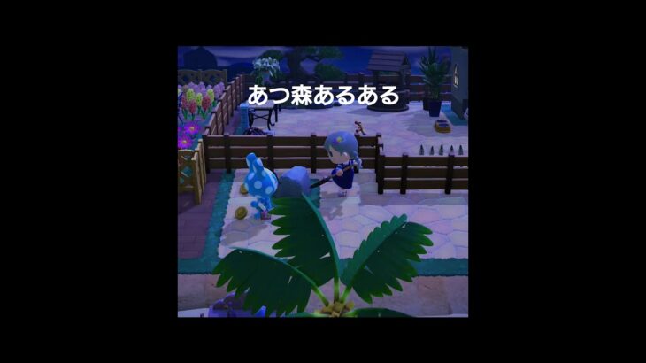 【あつ森】いやアンタじゃないわ！