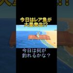 あつ森でレア魚４匹も引き当ててしまった✨🐡