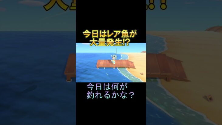 あつ森でレア魚４匹も引き当ててしまった✨🐡