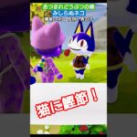 【#あつ森 】みしらぬネコ【#あつまれどうぶつの森 】