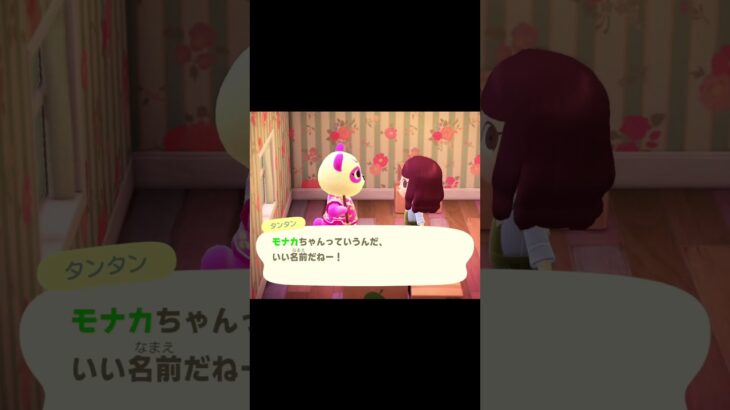 【あつ森】新しい住民タンタンがやってきた！初めましてのごあいさつ🐼🌸