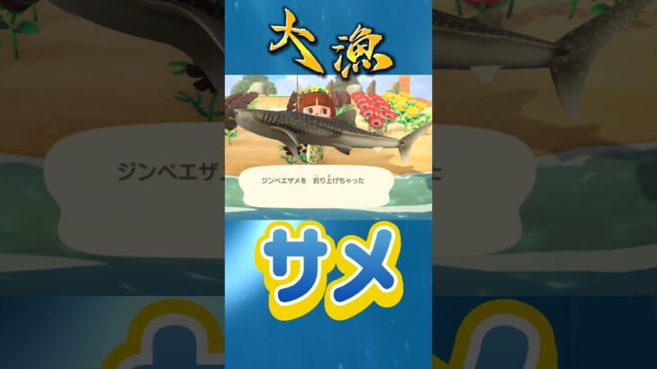 #あつ森ショート