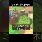 さすがに学んだぜｗ #あつ森 #ききゆん 【嬉々桜ゆん】#あつまれどうぶつの森 #ゲーム実況