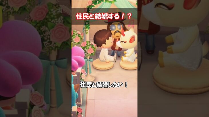 住民と結婚したい！ 【あつ森】@ほのげ