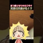 あつ森となりのラコスケ天井に穴あいた#あつ森