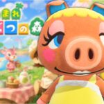 【あつ森】 島の入り口をオサレにしたい！🏝️🏠　でもアイデアは湧かない🤷🏻‍♂️  アッキーのまた〜りのんびり島生活🌿