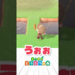 狙い撃ちの耐久配信でまさかのゴールドラッシュ？【あつ森】