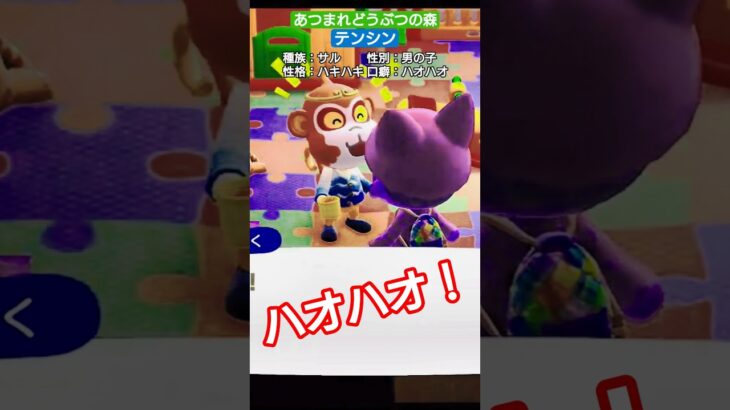 【#あつ森 】テンシン【#あつまれどうぶつの森 】