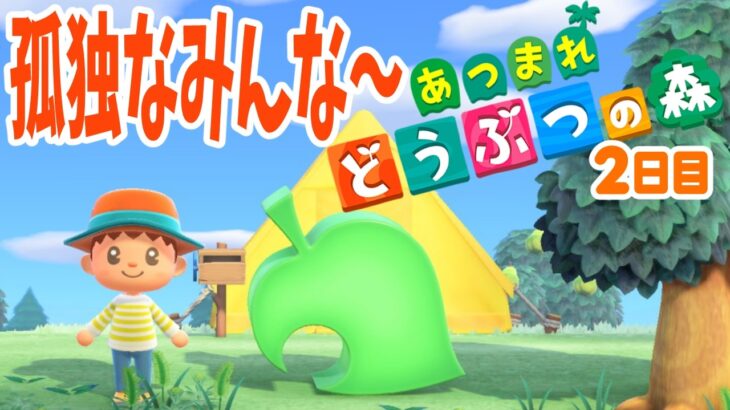 あつ森２日目：博物館ほしくね？