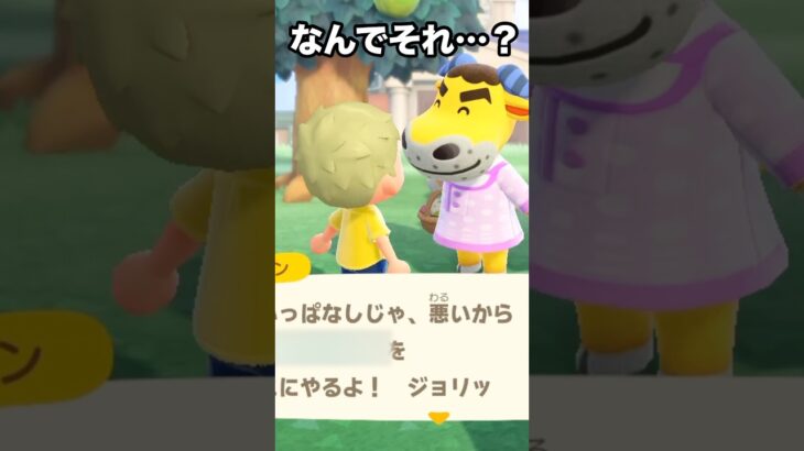 【あつ森】なんでそれ？？プレゼントを渡したらお返しに…