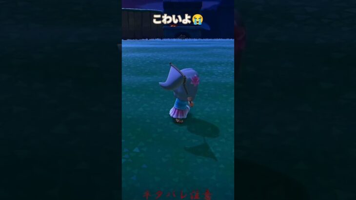 〖サソリ〗ギャーッこわいよ～😨#サソリ＃ #あつ森 #開拓サバイバル島