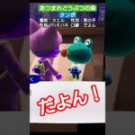 【#あつ森 】タンボ【#あつまれどうぶつの森 】