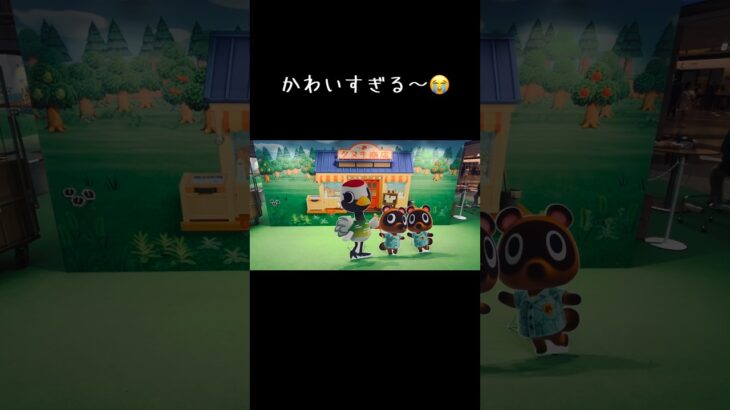 あつ森ポップアップとポケセン✨#あつ森　#ポケモン　#新千歳空港　#ポップアップ