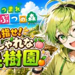 【あつ森】島クリ本格始動！海辺におしゃれな果樹園を作りたい！！【島クリエイター】