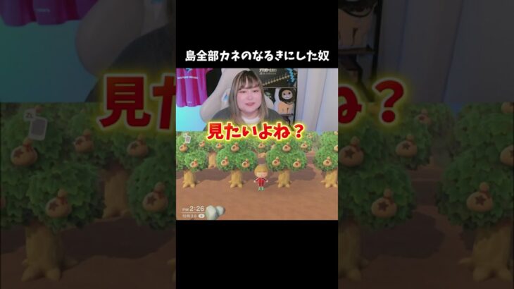 島全部「カネのなるき」にしてみた【あつ森】
