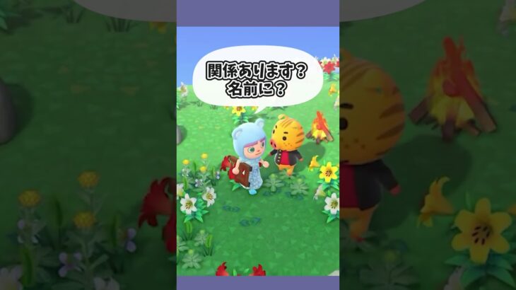 イノシシのキャラだから… #あつ森  #あつまれどうぶつの森  #女性ゲーム実況