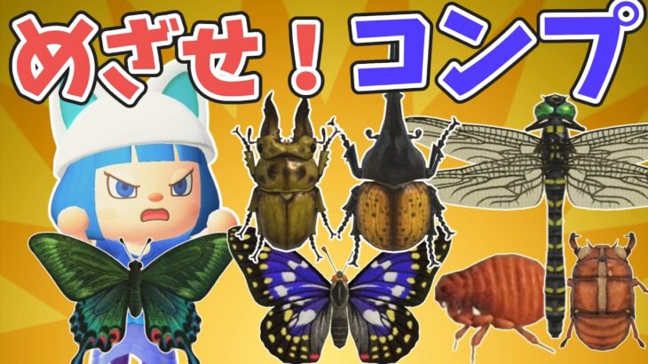 【めざせ博物館コンプ】寄贈してない虫を全部とるぞ【あつ森ゆっくり実況】