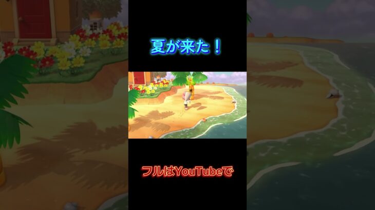 【あつ森】夏が来た！