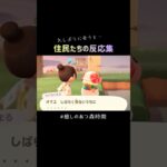 ちょっとだけ放置してました｜癒しのあつ森時間
