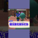 観光客と花火大会🎆 #あつ森  #あつまれどうぶつの森  #女性ゲーム実況