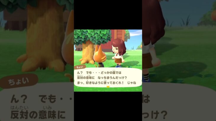 【あつ森】ちょいが「イヤイヤ」のリアクションを教えてくれた😊