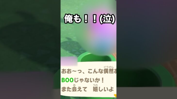 【あつ森】嬉しい！！あの元住民と久々に再会できた
