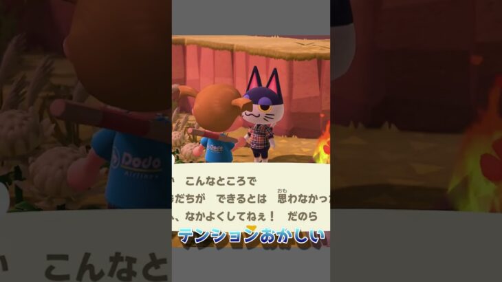 🔵【あつ森】神引き離島ガチャ｜ジュンをスカウトしなかった理由は？｜ #あつ森離島ガチャ