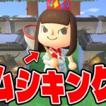 【あつ森】虫図鑑コンプしたし、虫取り大会で新記録作れるんじゃない？【あつまれどうぶつの森】