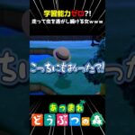 【あつ森】走って虫を逃がし続ける女ｗｗｗ