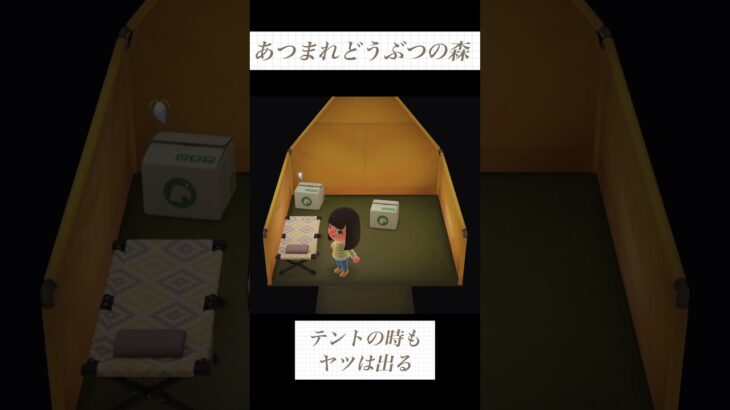 あつ森※虫嫌い注意　テント状態でもヤツは出る#あつまれどうぶつの森 #あつ森