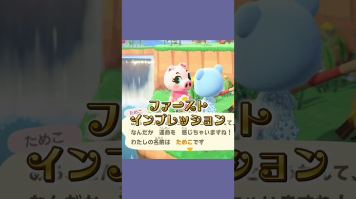 お金が貯まる音がする #あつ森  #あつまれどうぶつの森  #女性ゲーム実況