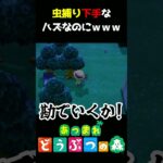 【あつ森】虫捕り苦手なはずなのにｗｗｗ