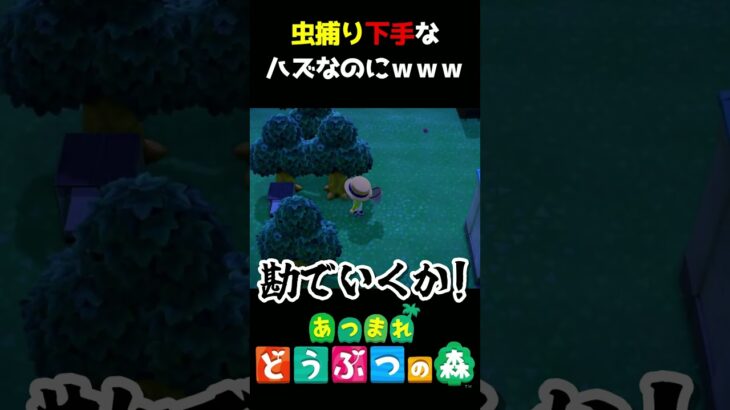 【あつ森】虫捕り苦手なはずなのにｗｗｗ