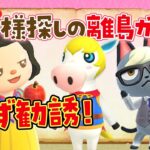 【あつ森】必ず勧誘！王子様探しの離島ガチャライブ 【あつまれどうぶつの森】