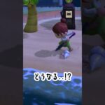【あつ森】ヤドカリに穴を開ける #あつ森 #あつまれどうぶつの森 #ゲーム実況