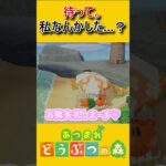 最推しに避けられてる日【あつ森】 #あつまれどうぶつの森 #あつ森 #ゲーム実況